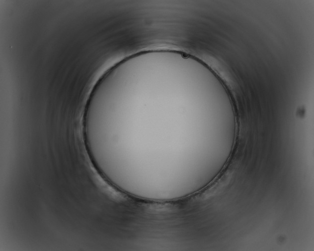 X0000101151189200807181326