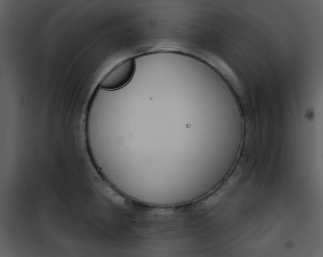 X0000101151190200807181326