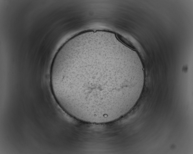 X0000101151191200807181326