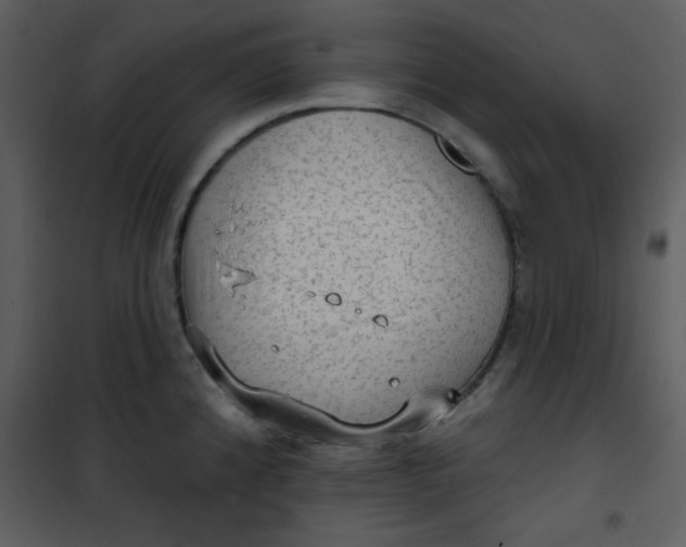 X0000101151192200807181326