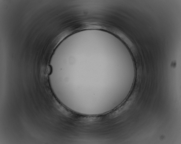 X0000101151193200807181326