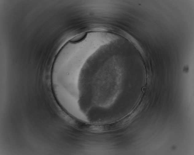 X0000101151194200807181326