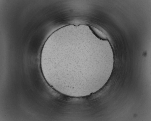 X0000101151195200807181326