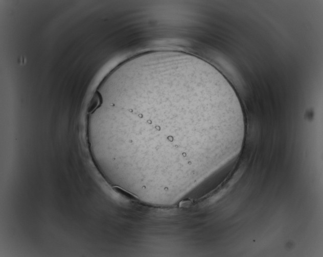 X0000101151196200807181326