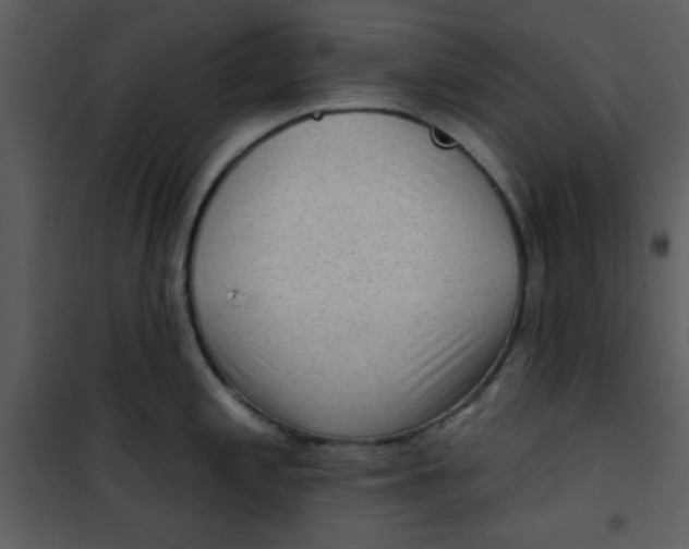 X0000101151197200807181326