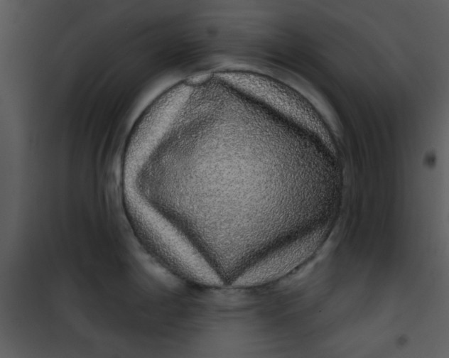 X0000101151198200807181326