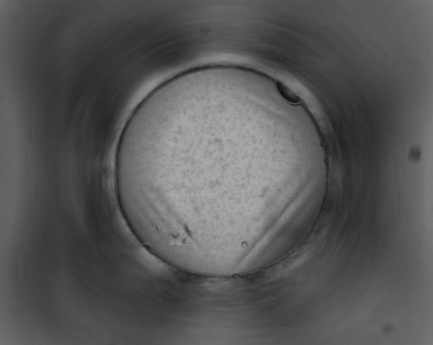 X0000101151199200807181326