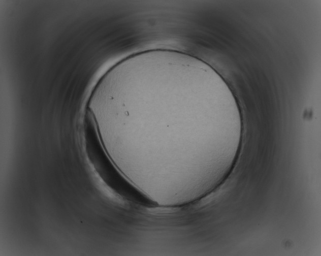 X0000101151200200807181326