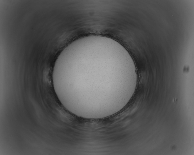 X0000101151202200807181325