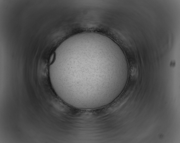 X0000101151204200807181325