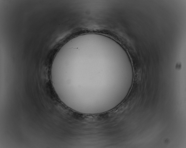 X0000101151205200807181325