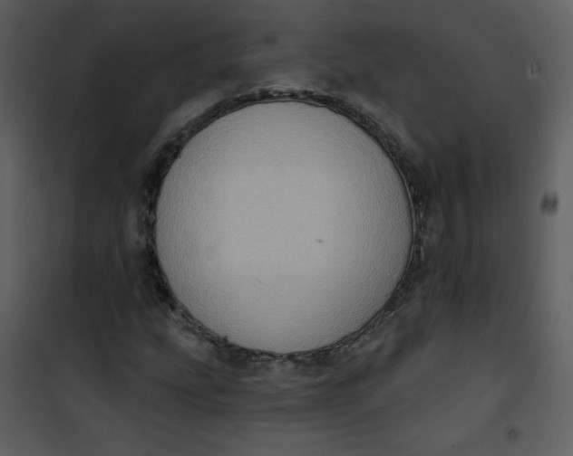 X0000101151207200807181325