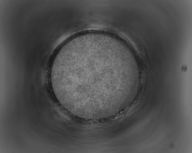 X0000101151208200807181325