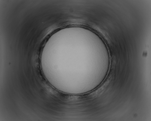 X0000101151211200807181326