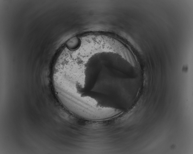 X0000101151213200807181326