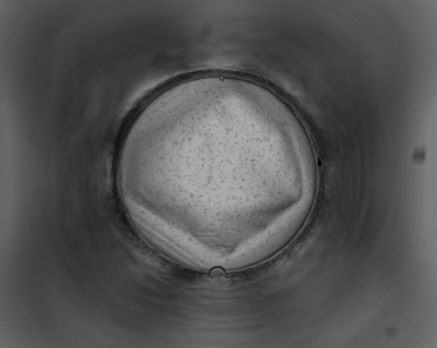 X0000101151214200807181326