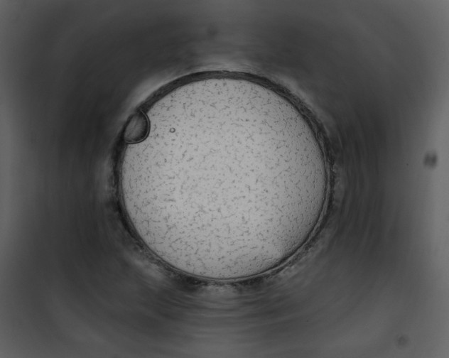 X0000101151215200807181326