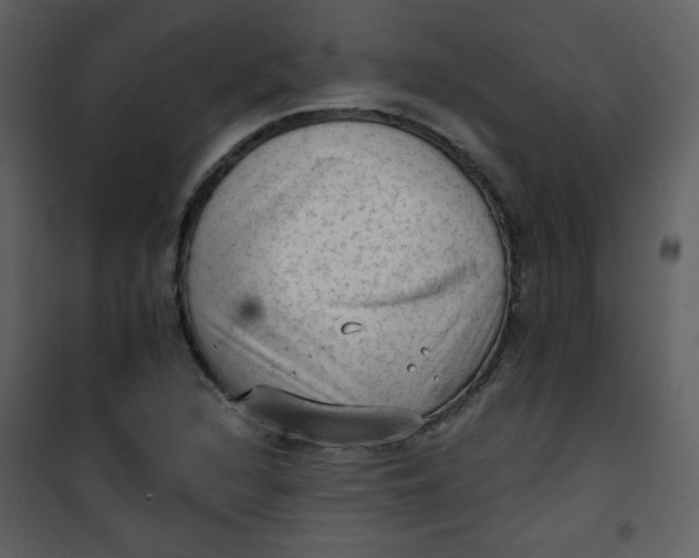 X0000101151216200807181326