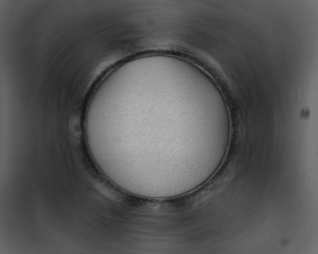 X0000101151218200807181326