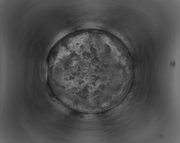 X0000101151219200807181326