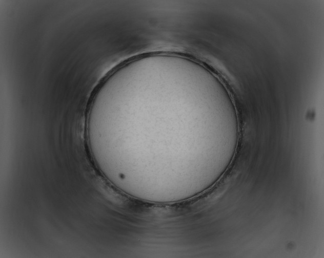 X0000101151220200807181326