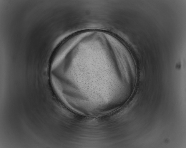 X0000101151222200807181326