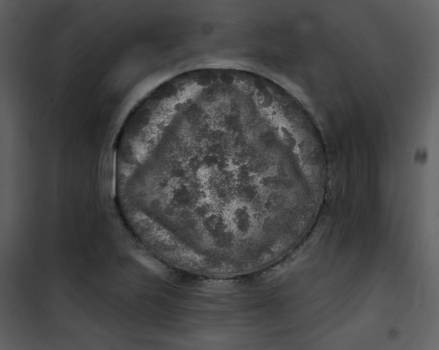 X0000101151223200807181326