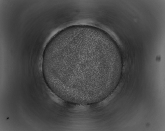 X0000101151224200807181326