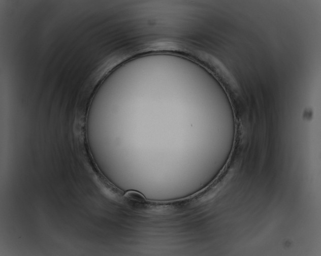 X0000101151225200807181326