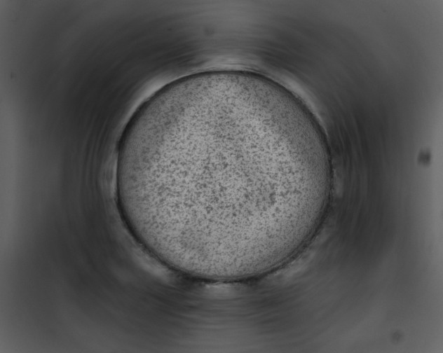 X0000101151227200807181326