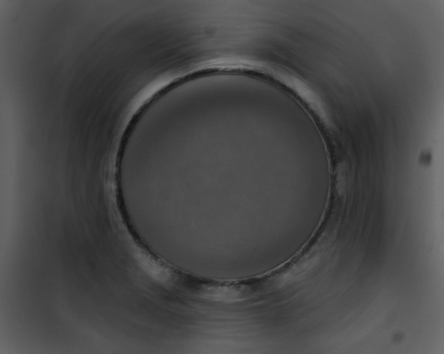 X0000101151229200807181326