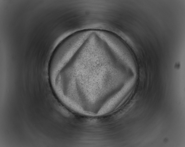 X0000101151230200807181326