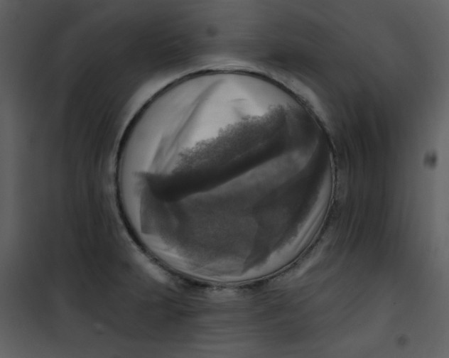 X0000101151231200807181326