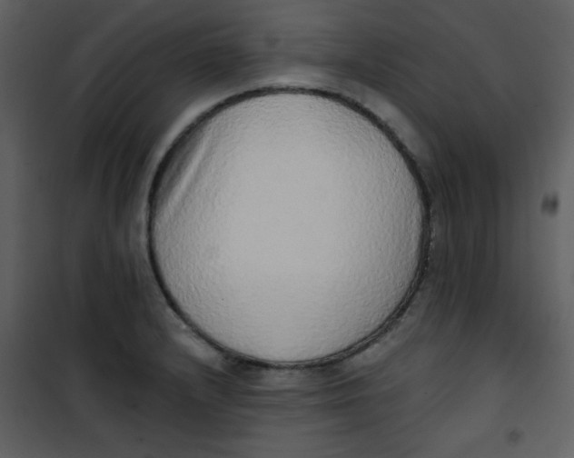 X0000101151232200807181326