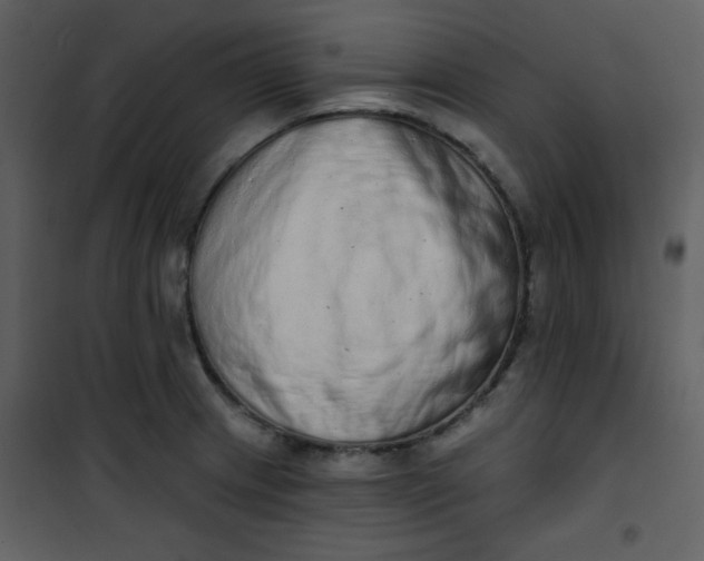 X0000101151233200807181326