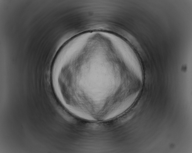 X0000101151234200807181326