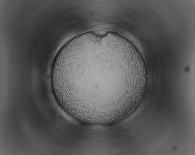 X0000101151235200807181326