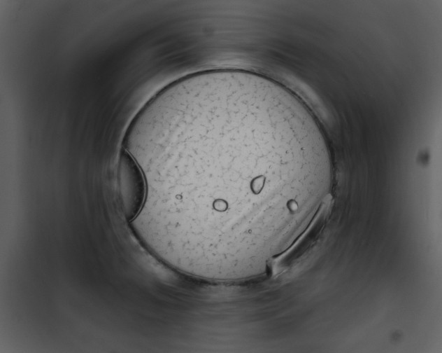 X0000101151236200807181326