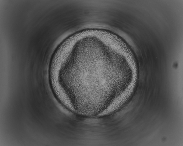 X0000101151237200807181326