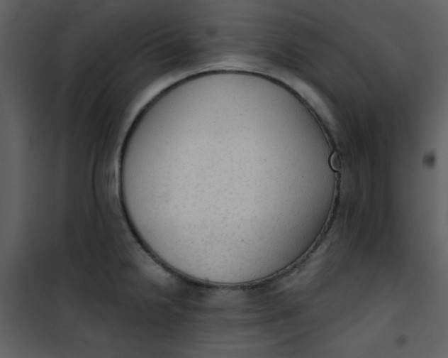 X0000101151238200807181326