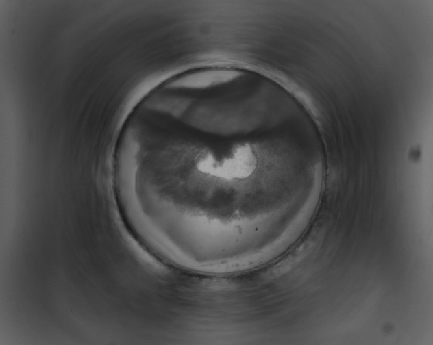 X0000101151239200807181326