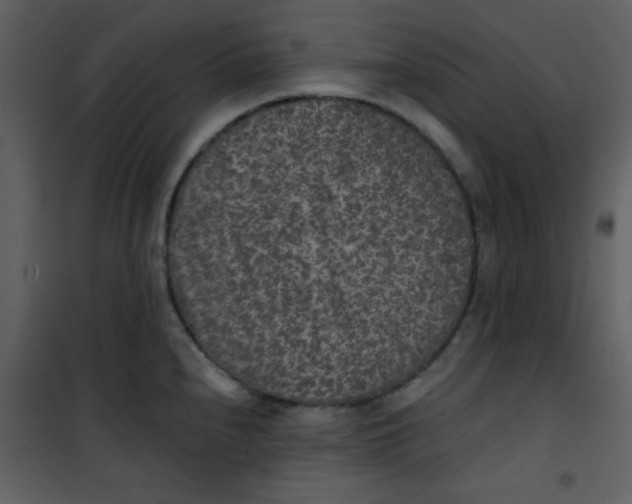 X0000101151240200807181326