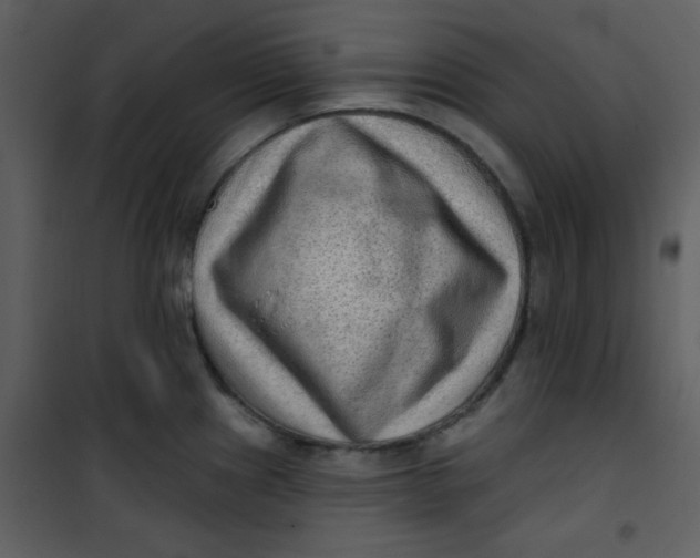 X0000101151241200807181326