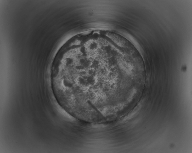 X0000101151243200807181326