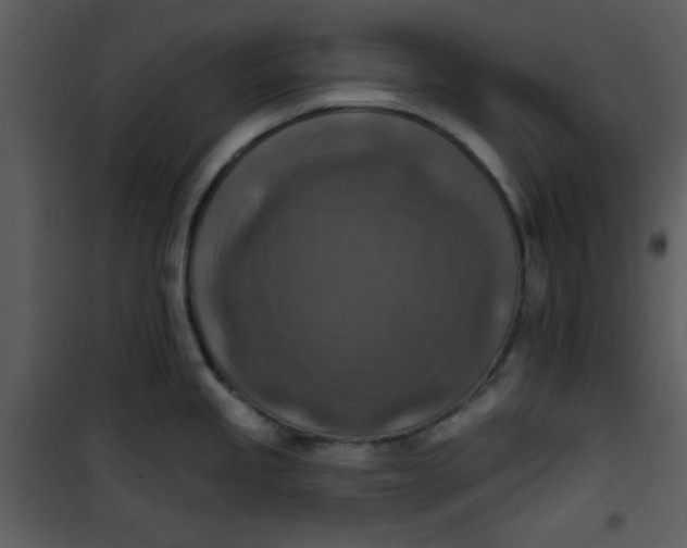 X0000101151245200807181326