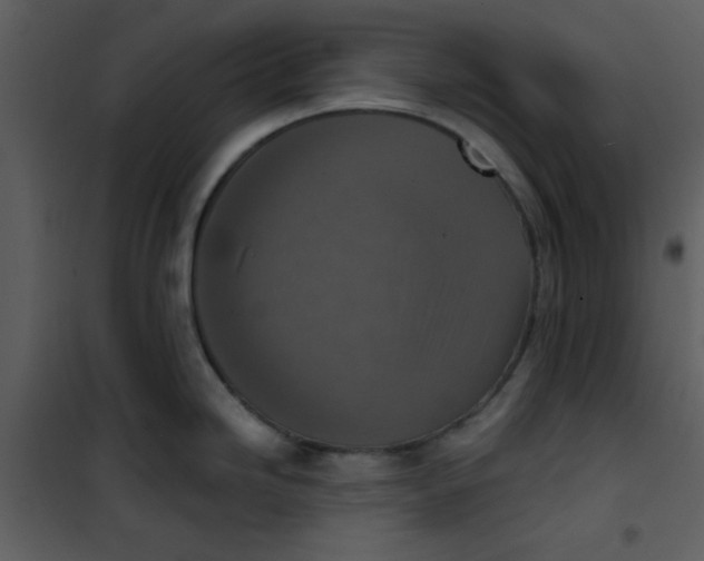 X0000101151246200807181326