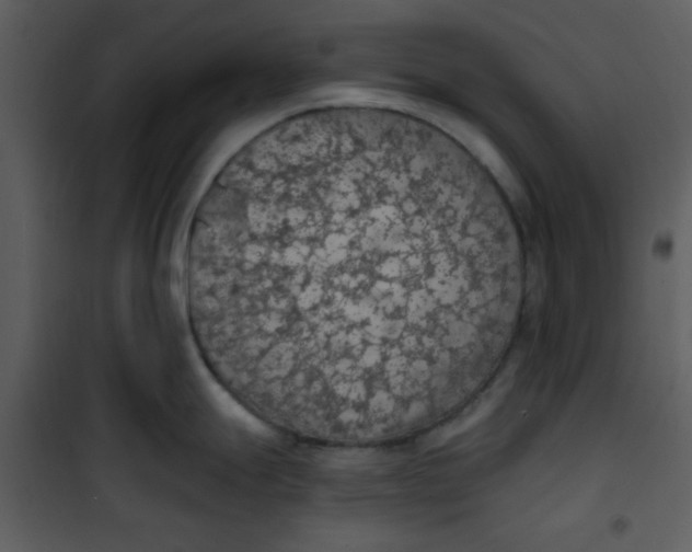 X0000101151247200807181326