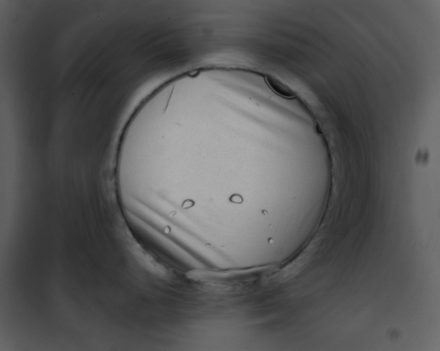 X0000101151248200807181326