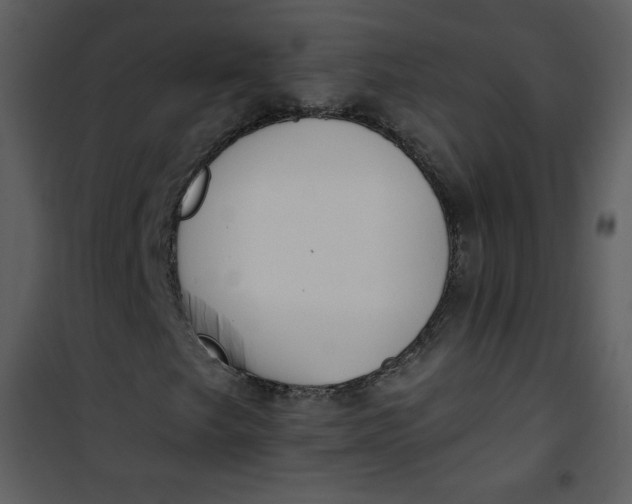 X0000101151249200807181325