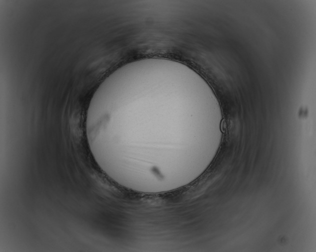 X0000101151250200807181325